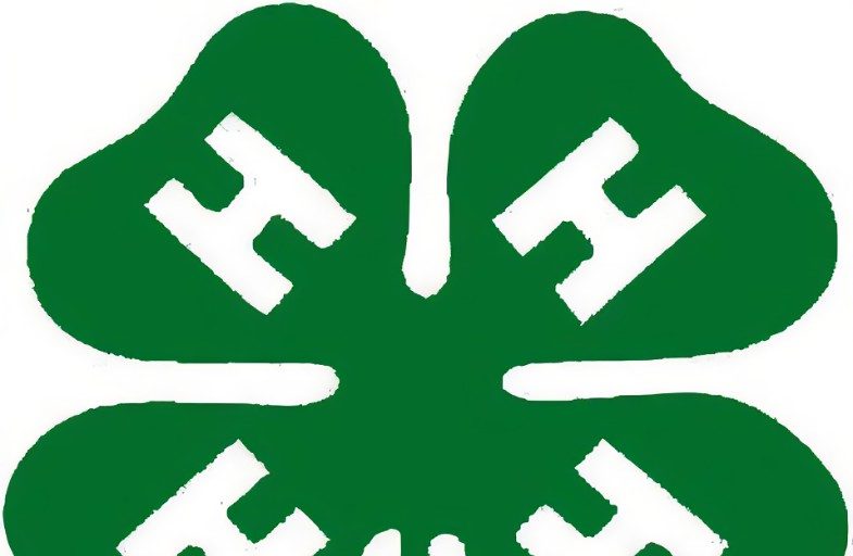4H Beef Club At Dryden Fall Fair - Vimarsana News
