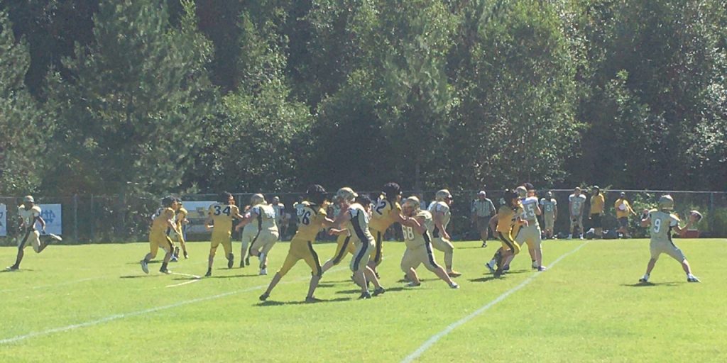Dryden Eagles Now Prepare For Regular Season - Vimarsana News