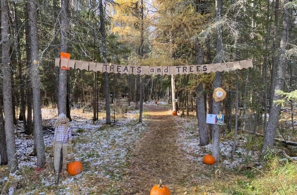 Packed Schedule For Dryden Fall Fest 2022 - Vimarsana News