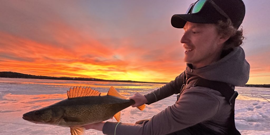 Sunset Walleye - Vimarsana News