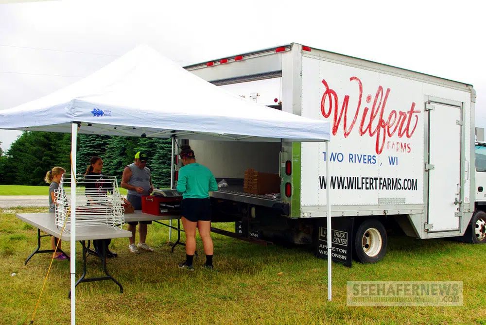 Strawberry Picking Season is Underway at Wilfert Farms Seehafer News