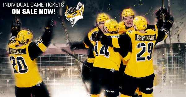 Green Bay Gamblers Now Selling Tickets for Upcoming Home Games