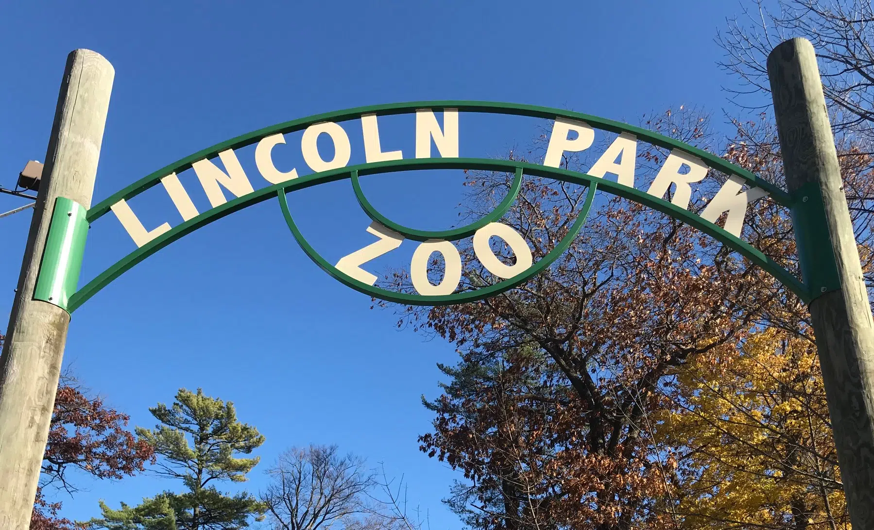 Lincoln park zoo