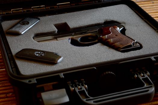 Wisconsin Lawmakers Look at Second Amendment Sanctuary Legislation this Week - Vimarsana News