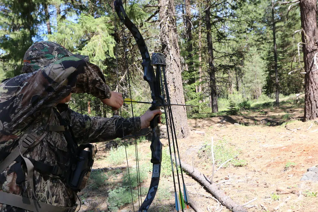 Manitowoc’s Bow Hunting Season Deemed a Success Seehafer News