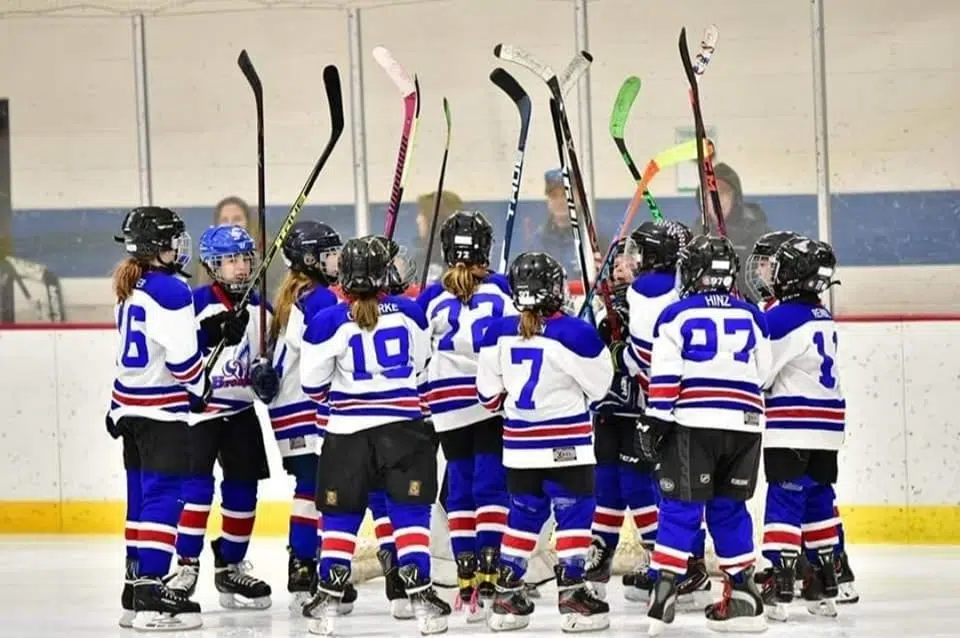 Manitowoc Youth Hockey State Spotlight Squirt B Seehafer News