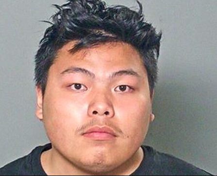 Minnesota Man Pleads Guilty in Appleton Shooting Case - Vimarsana News