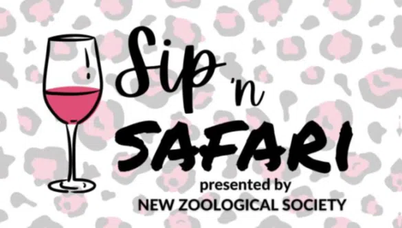 sip n safari new zoo
