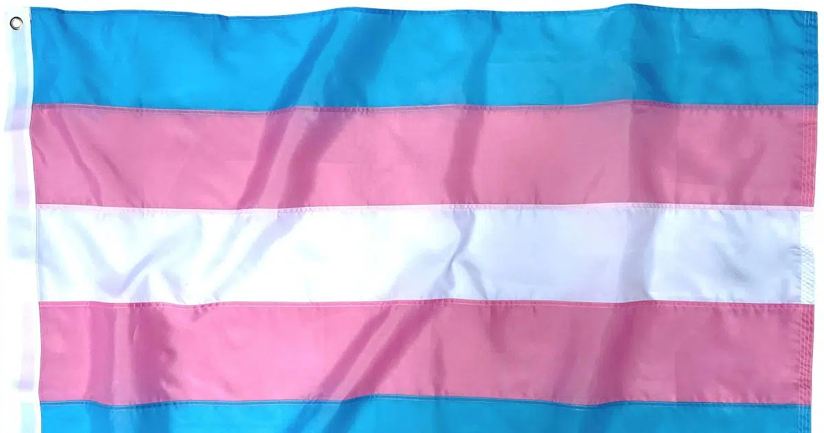 madison-flying-trans-pride-flag-over-city-hall-seehafer-news