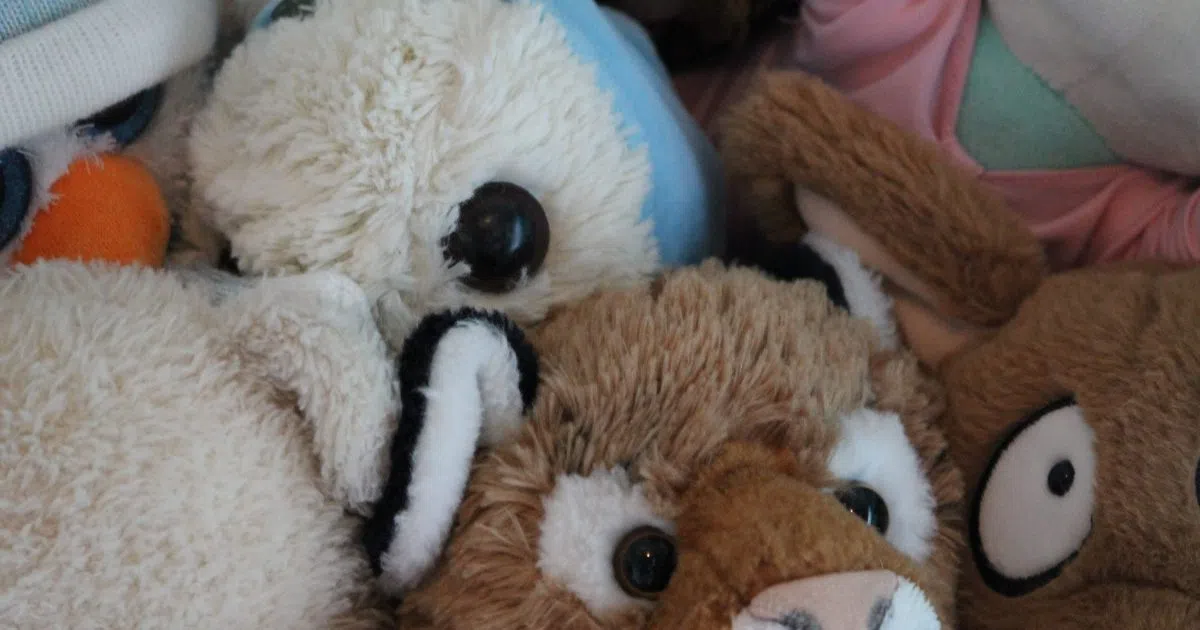 Is it True That 42 of People Sleep with Stuffed Animals? Mix 97