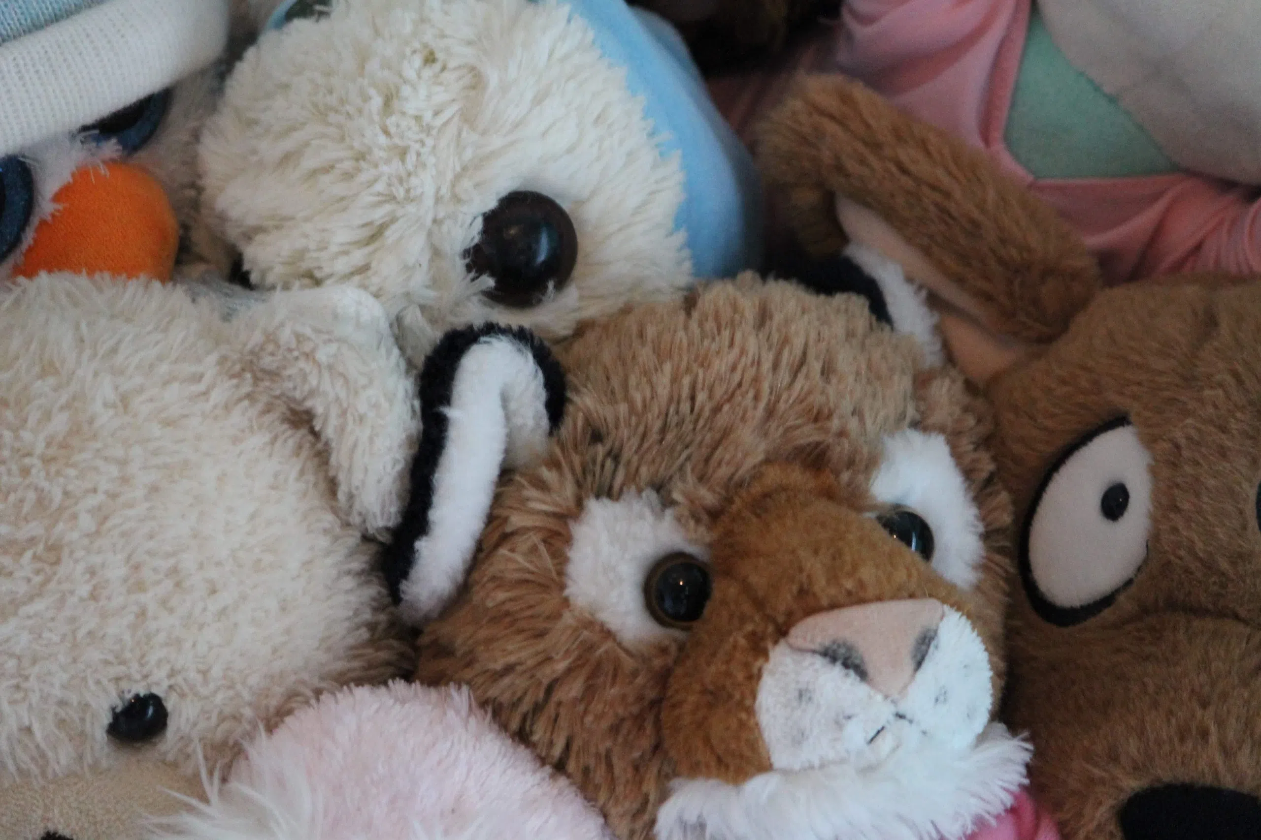 Is it True That 42 of People Sleep with Stuffed Animals? Mix 97