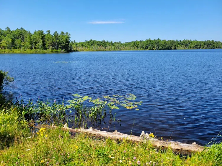 Nature Conservancy of Canada: Another win for nature | Green Quinte