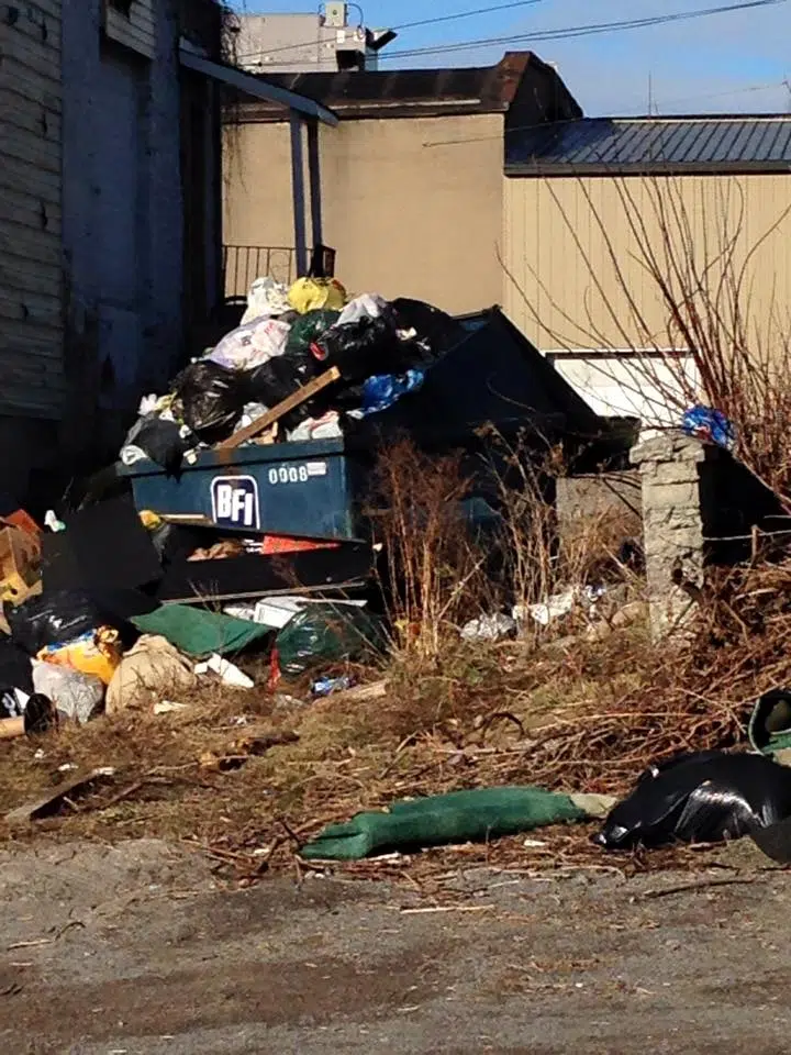 BellevilleQuinte West Trash Bash a success Quinte News