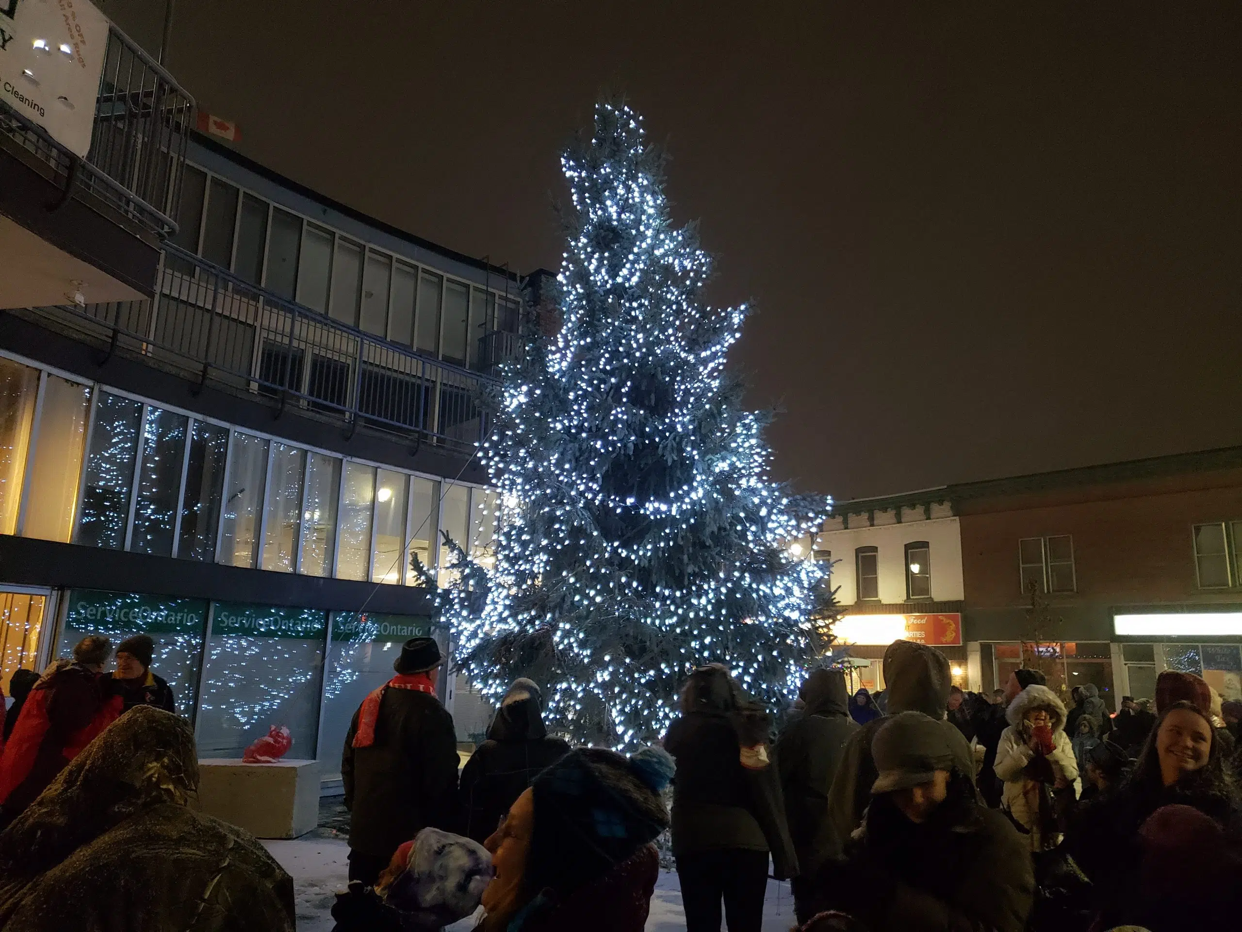Downtown Belleville gets into festive spirit Quinte News