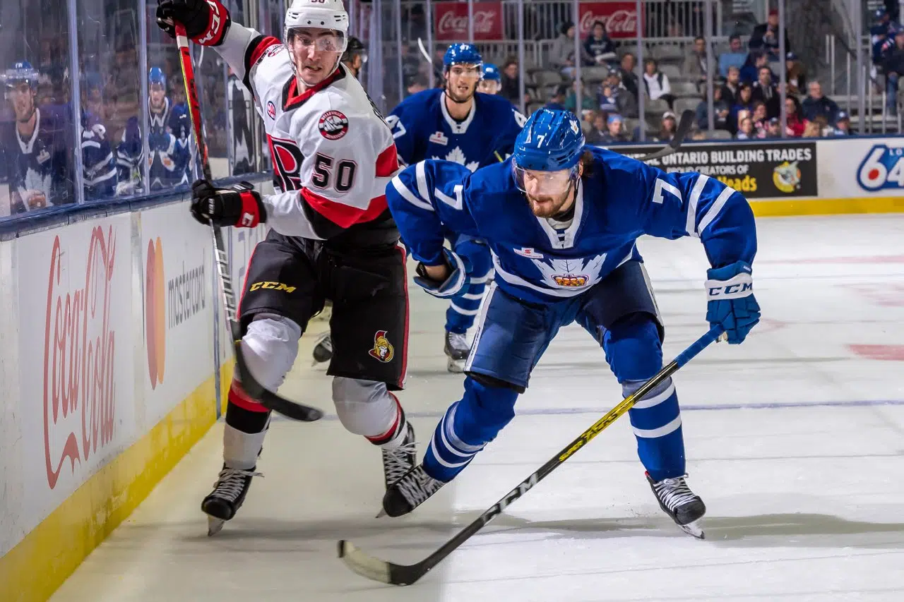 B-Sens Stopped By Marlies In Season Opener | Quinte News