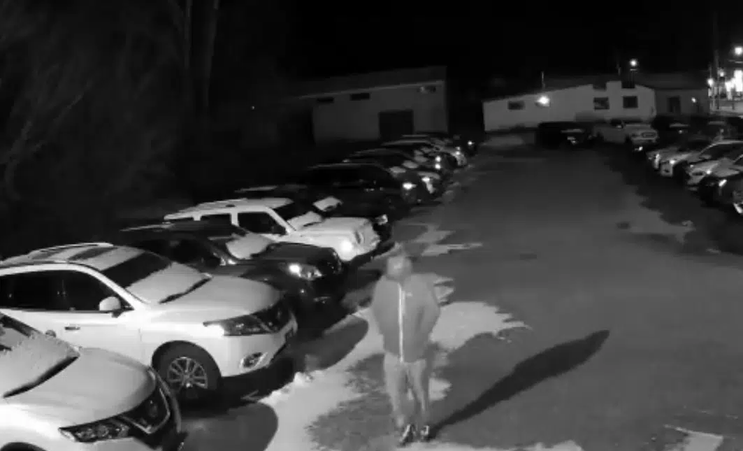 VIDEO Napanee car dealership B&E Quinte News