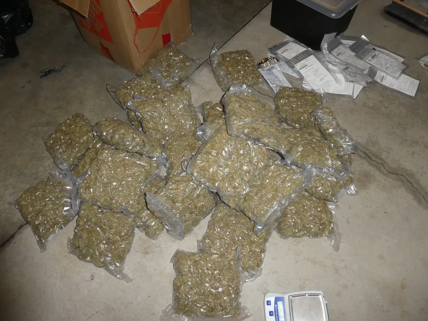 OPP seize lots of pot as part of ongoing investigation