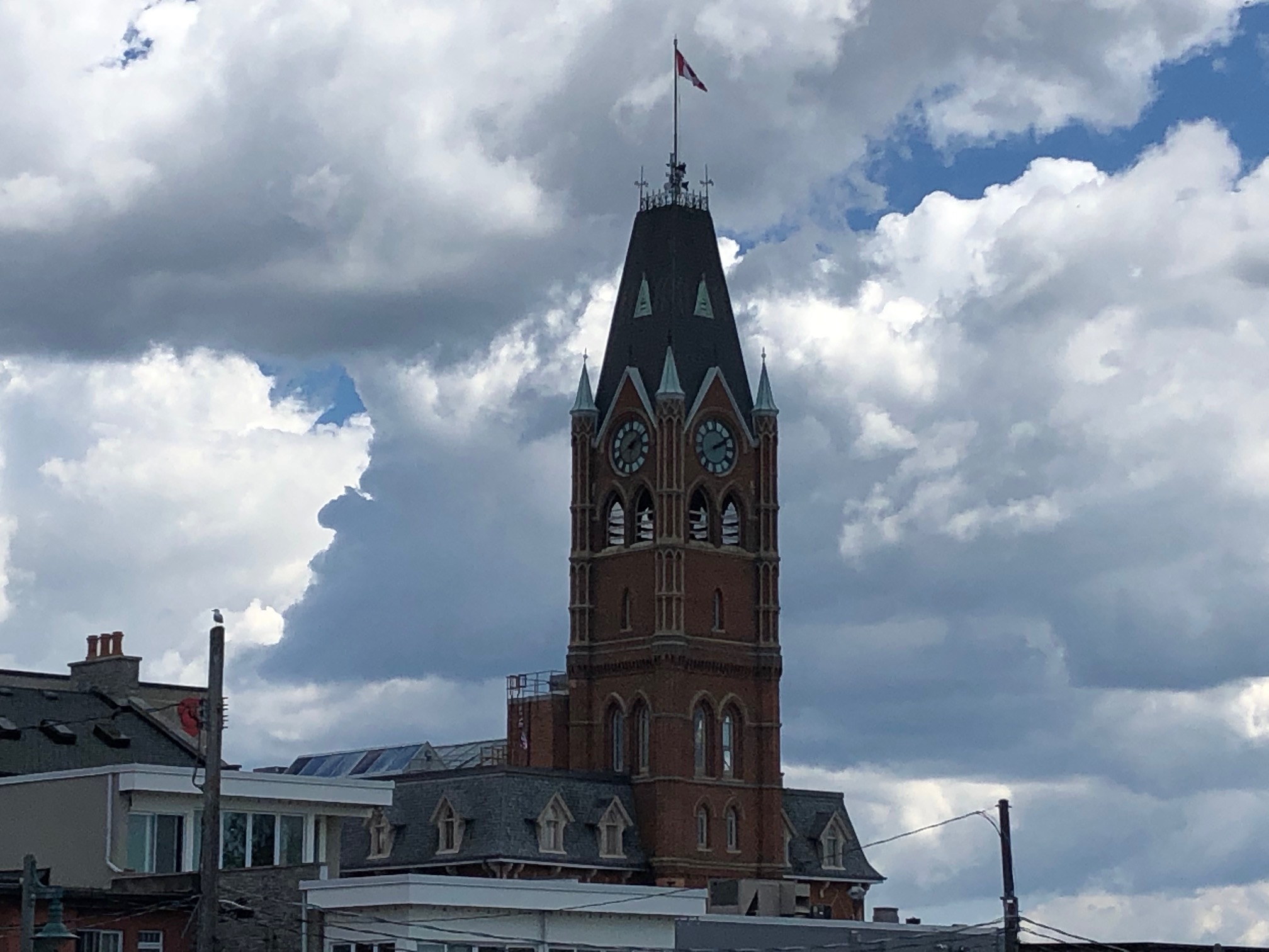 Economic Development Committee meeting goes outside city chambers - Vimarsana News