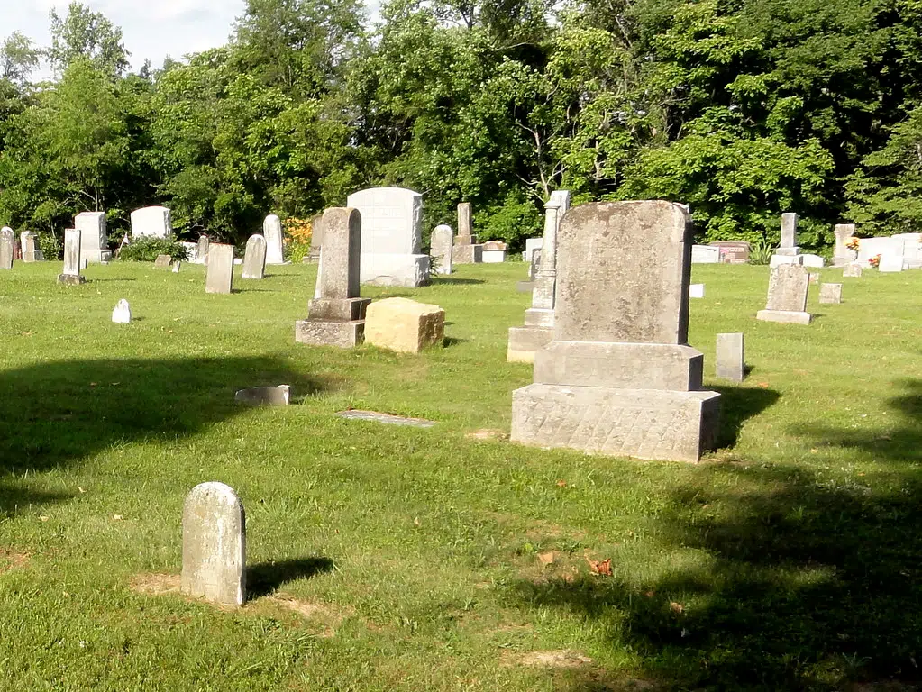 Prince Edward County council will explore possibility of pet cemetery ...