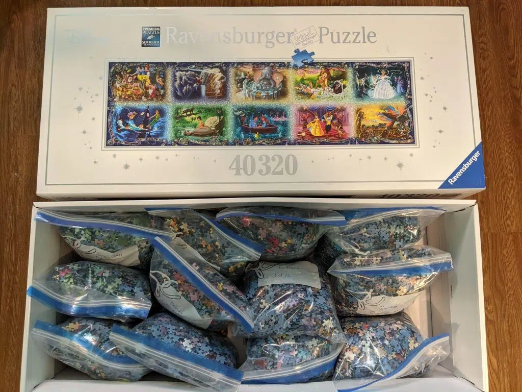 Belleville woman smashes puzzling record