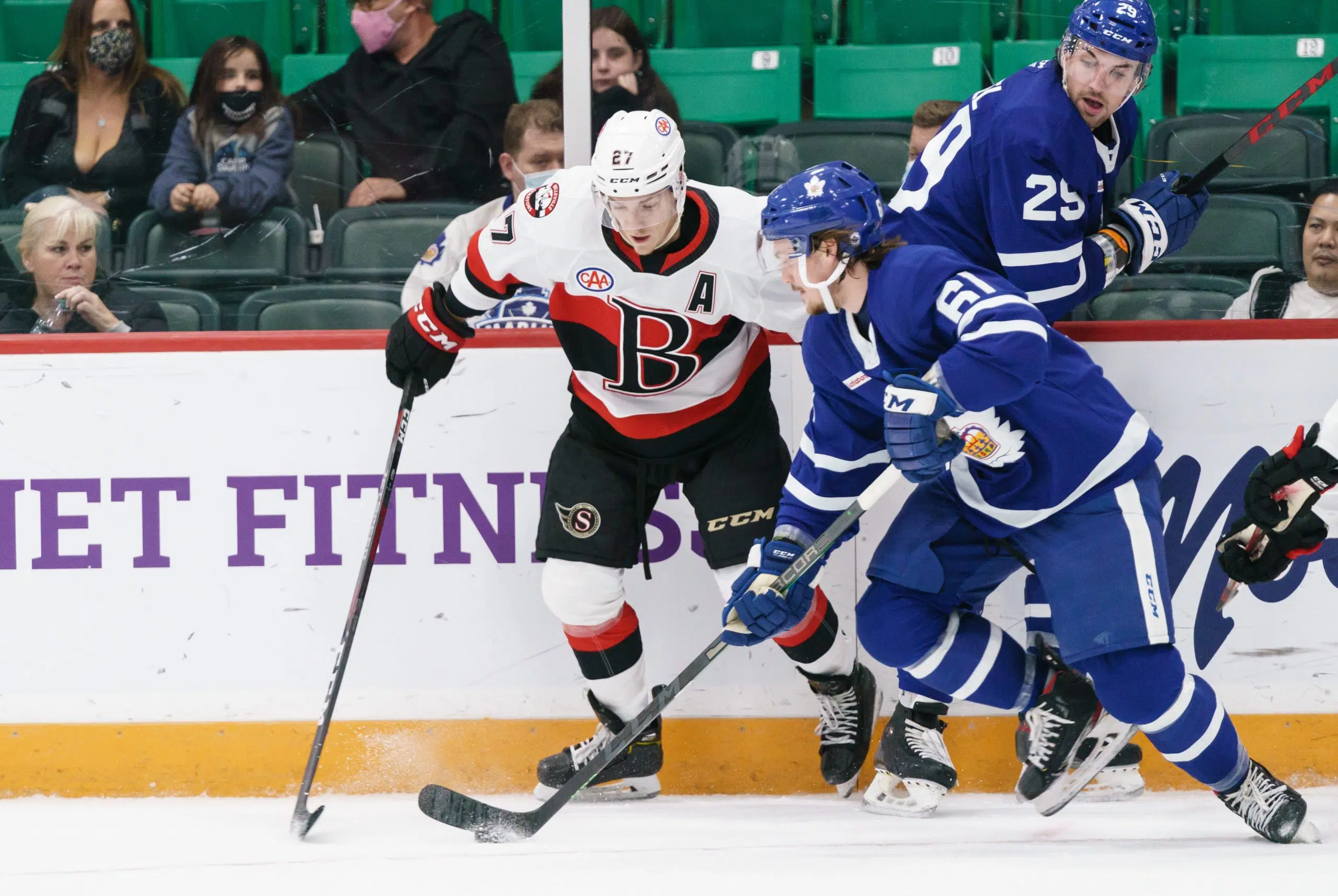 B-Sens Fall 5-2 To Toronto Marlies | Quinte News