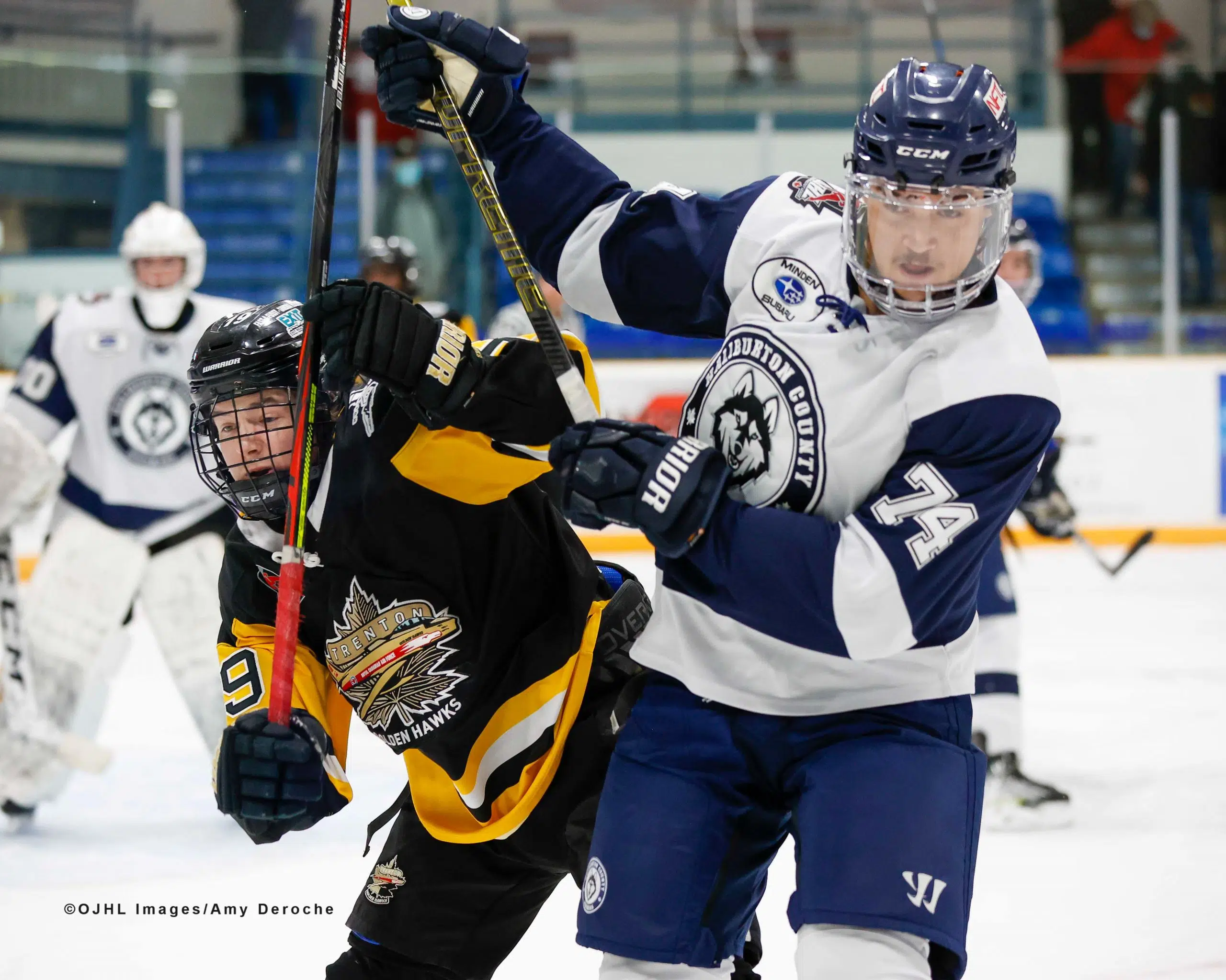 Trenton Golden Hawks drop 21 contest to Haliburton County Huskies