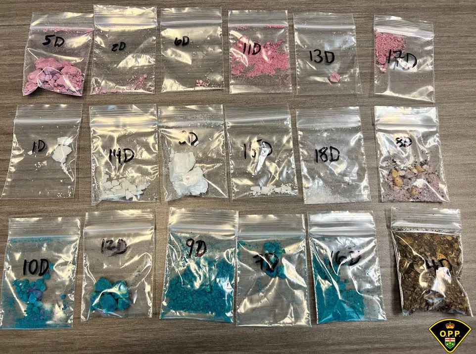 Ten charged with drugs, stolen property seized in Bancroft