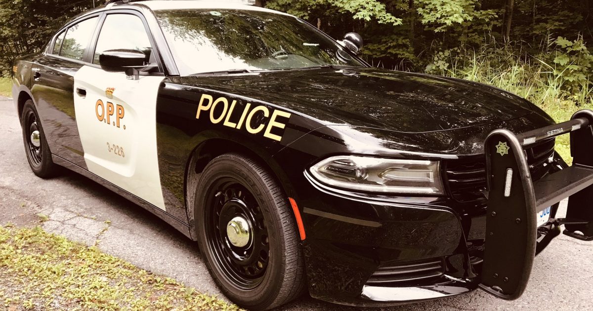 Trenton man charged in two investigations - Vimarsana News