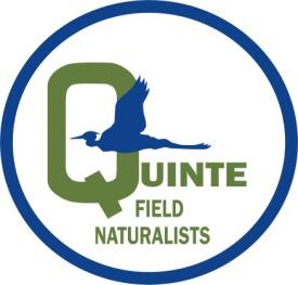 Quinte Field Naturalists accepting applications for Youth Summit for Mother Earth - Vimarsana News