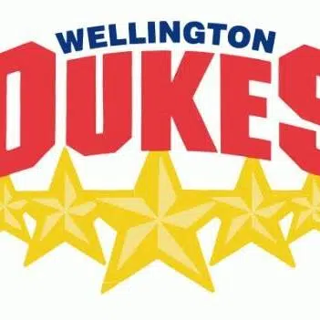 Wellington Dukes seek county sponsorship deal | Quinte News