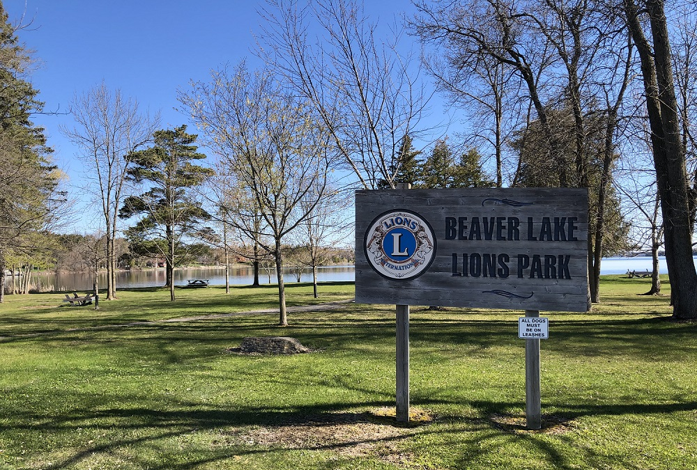 Beaver Lake shoreline restoration - Vimarsana News