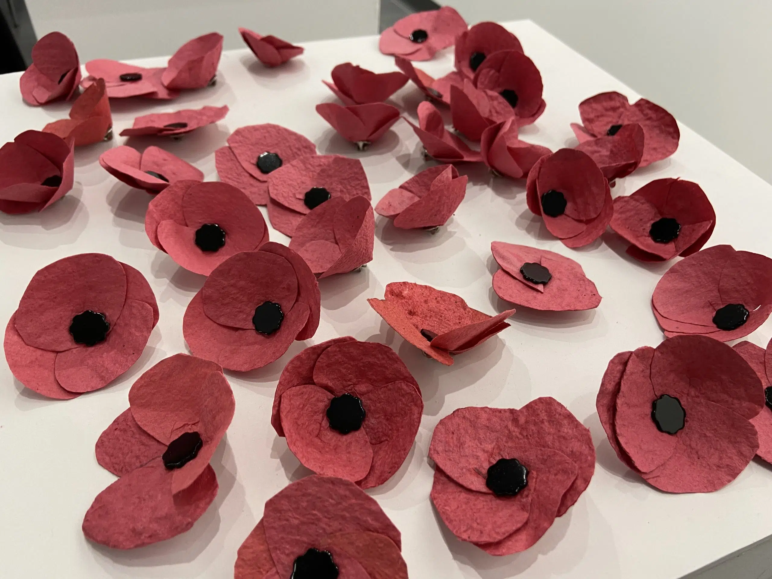 “As a veteran myself, I can say that this project is beautiful:” More on Fanshawe’s sustainable Poppy Project