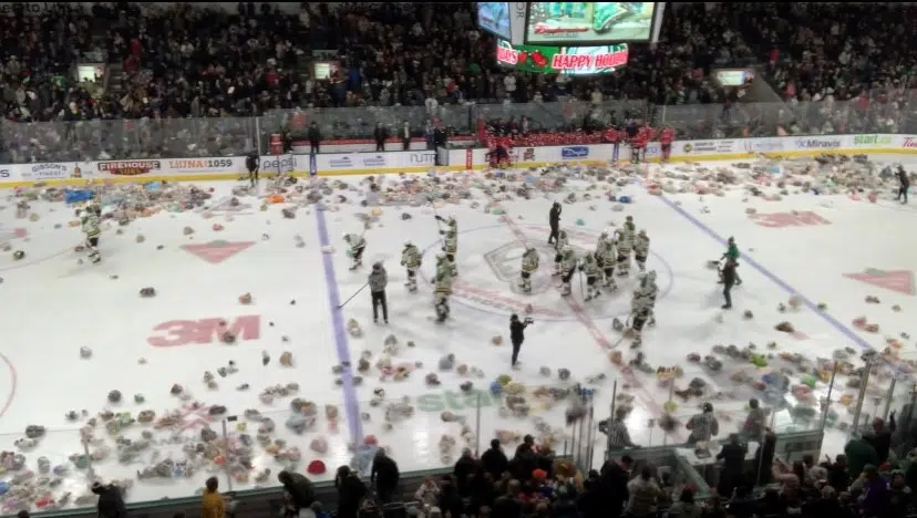 London Knights teddy bear toss gives fans a surreal experience