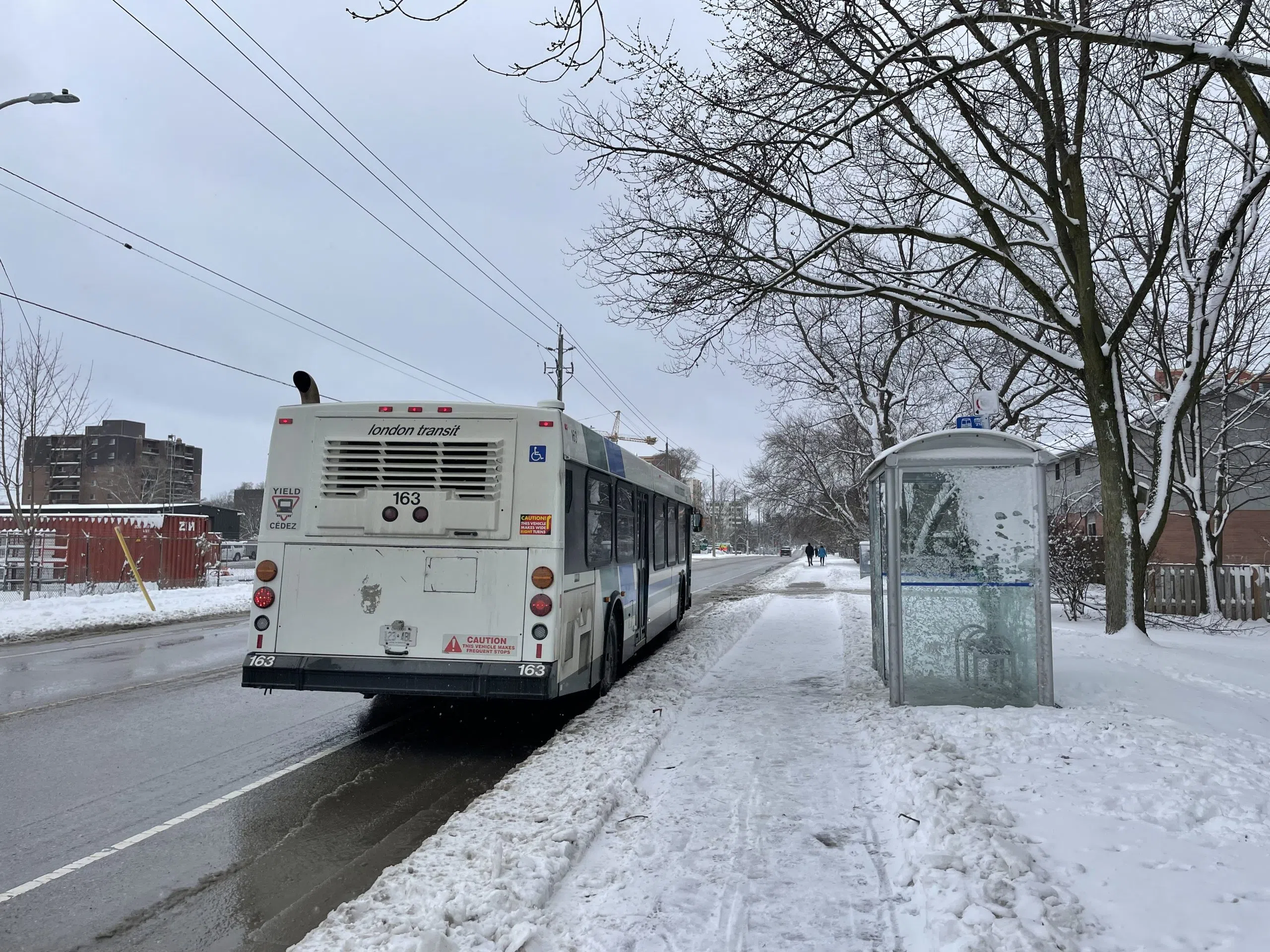 Small pets are now allowed on city buses.