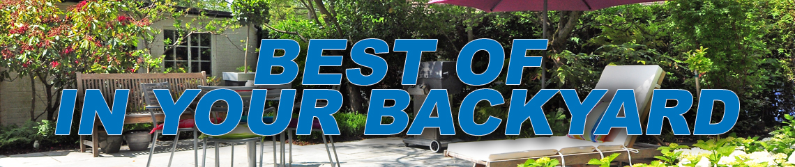 Shows – Best of In Your Backyard - Vimarsana News