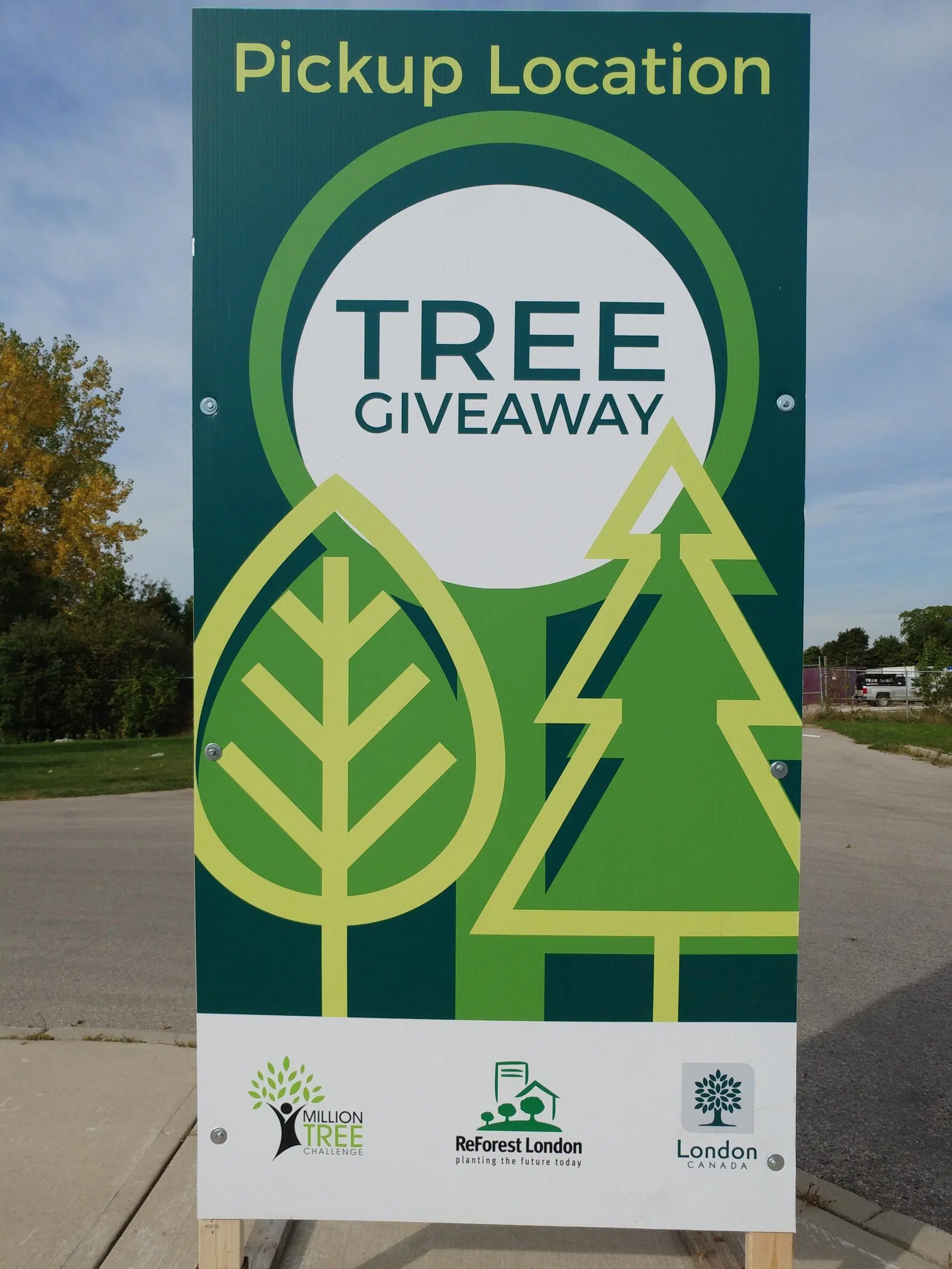 Re-foresting the Forest City