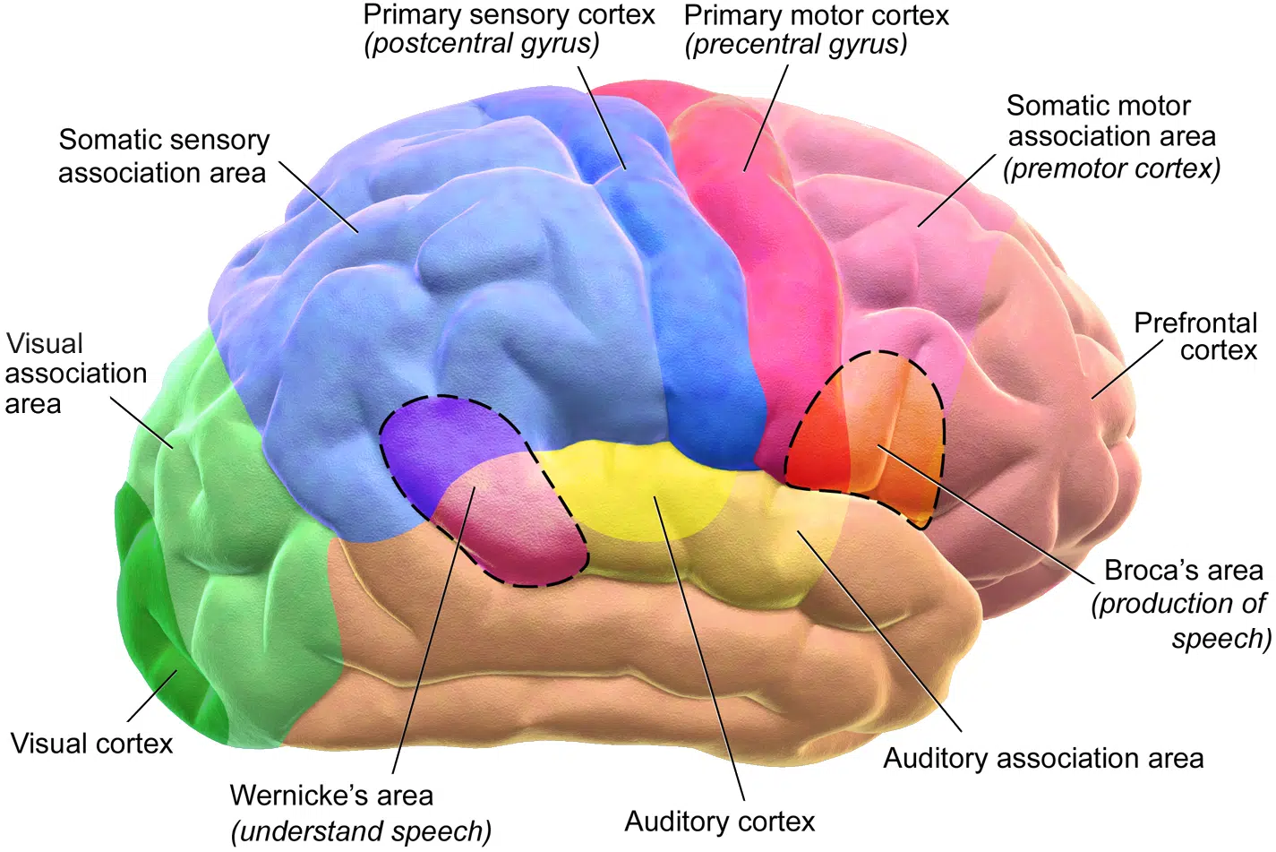 Seizures don’t equal epilepsy