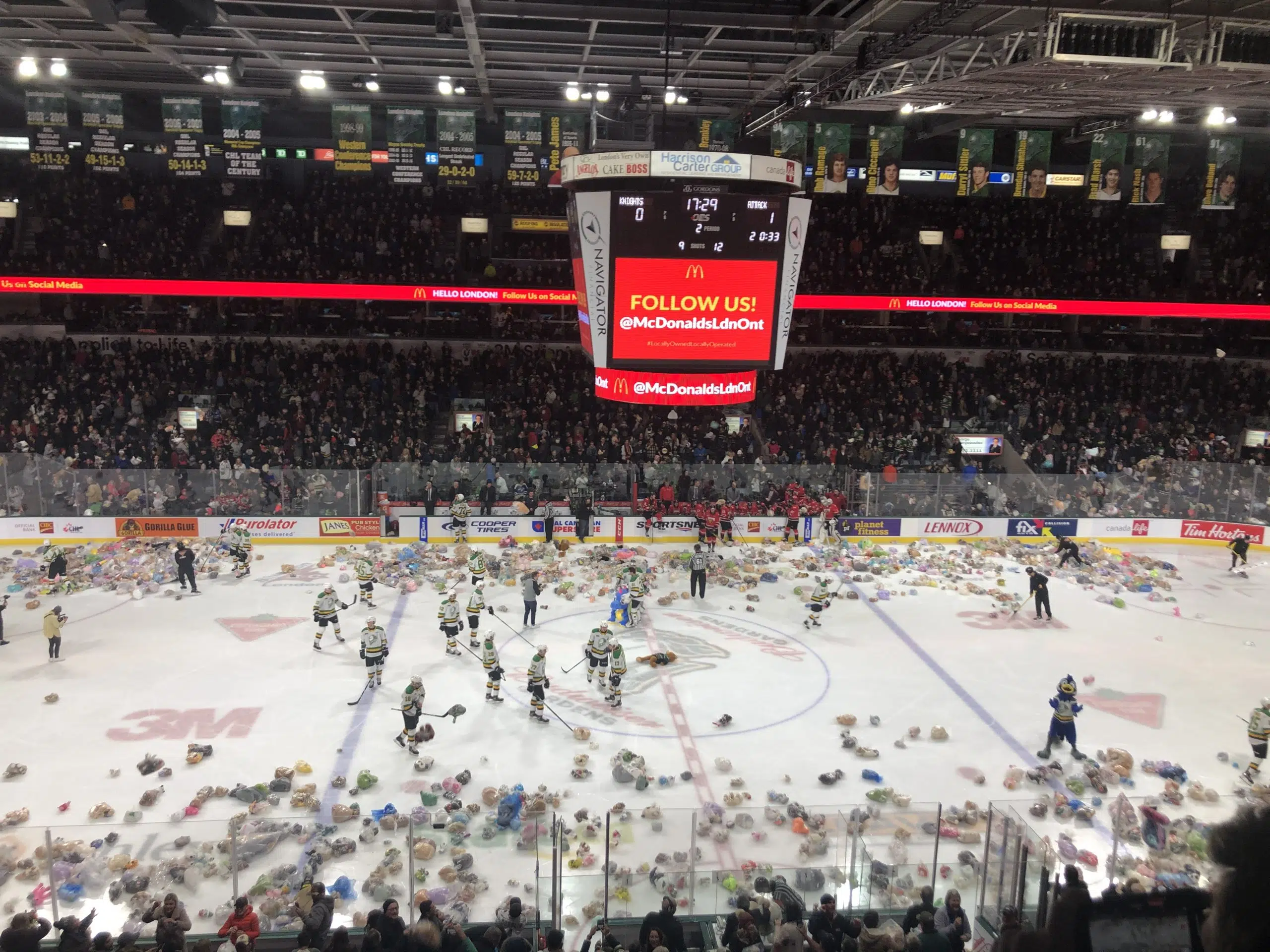 teddy bears thrown on ice