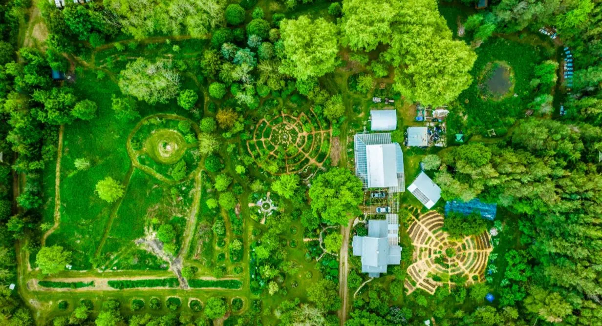 Co-creating regenerative futures”: A world-renowned, London-based eco-centre is expanding | CFRL