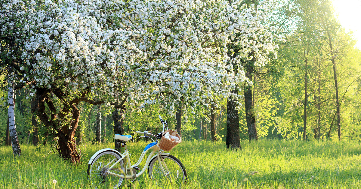 March: A change in moods - Vimarsana News