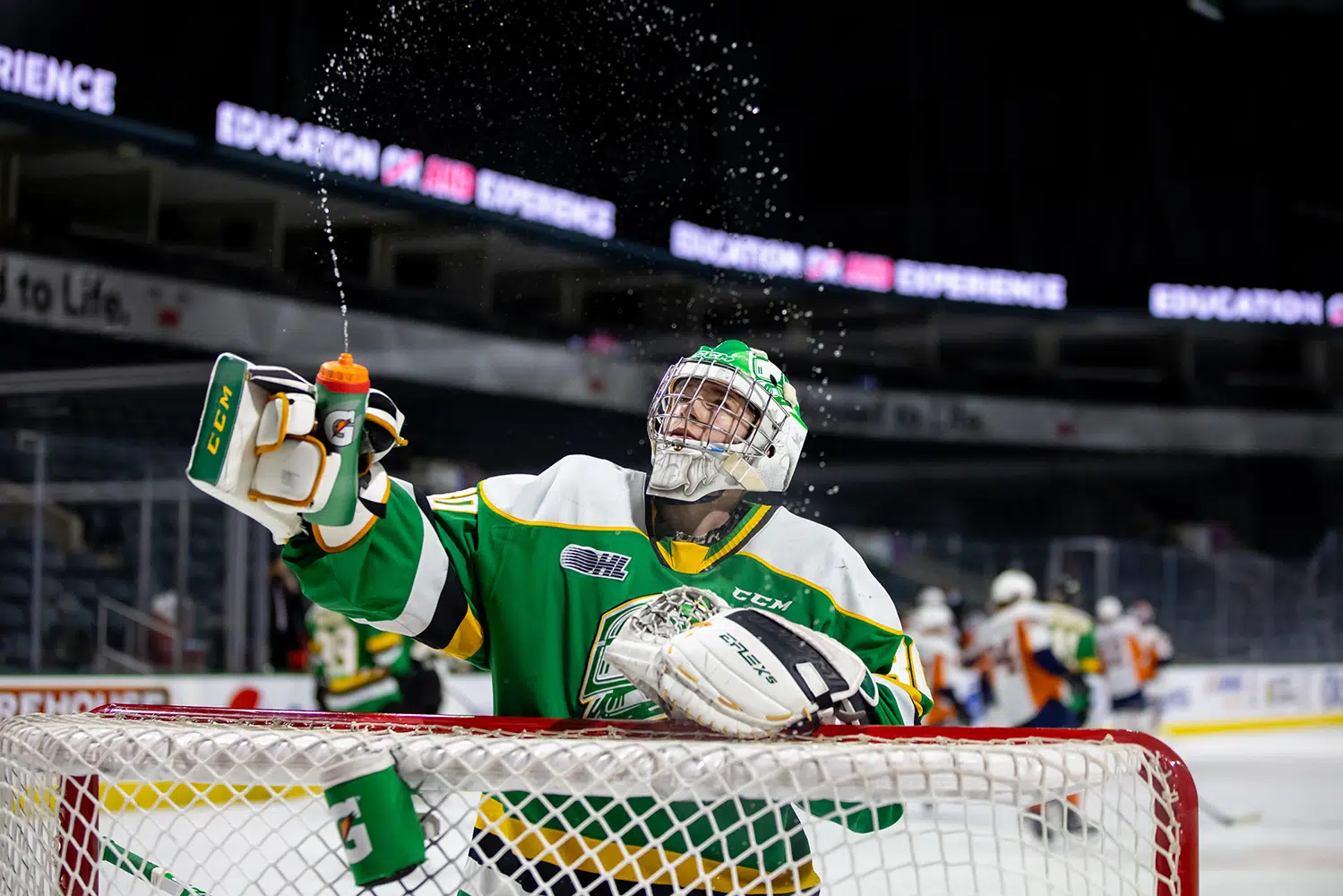 London Knights Look To Extend Win Streak The Falcon