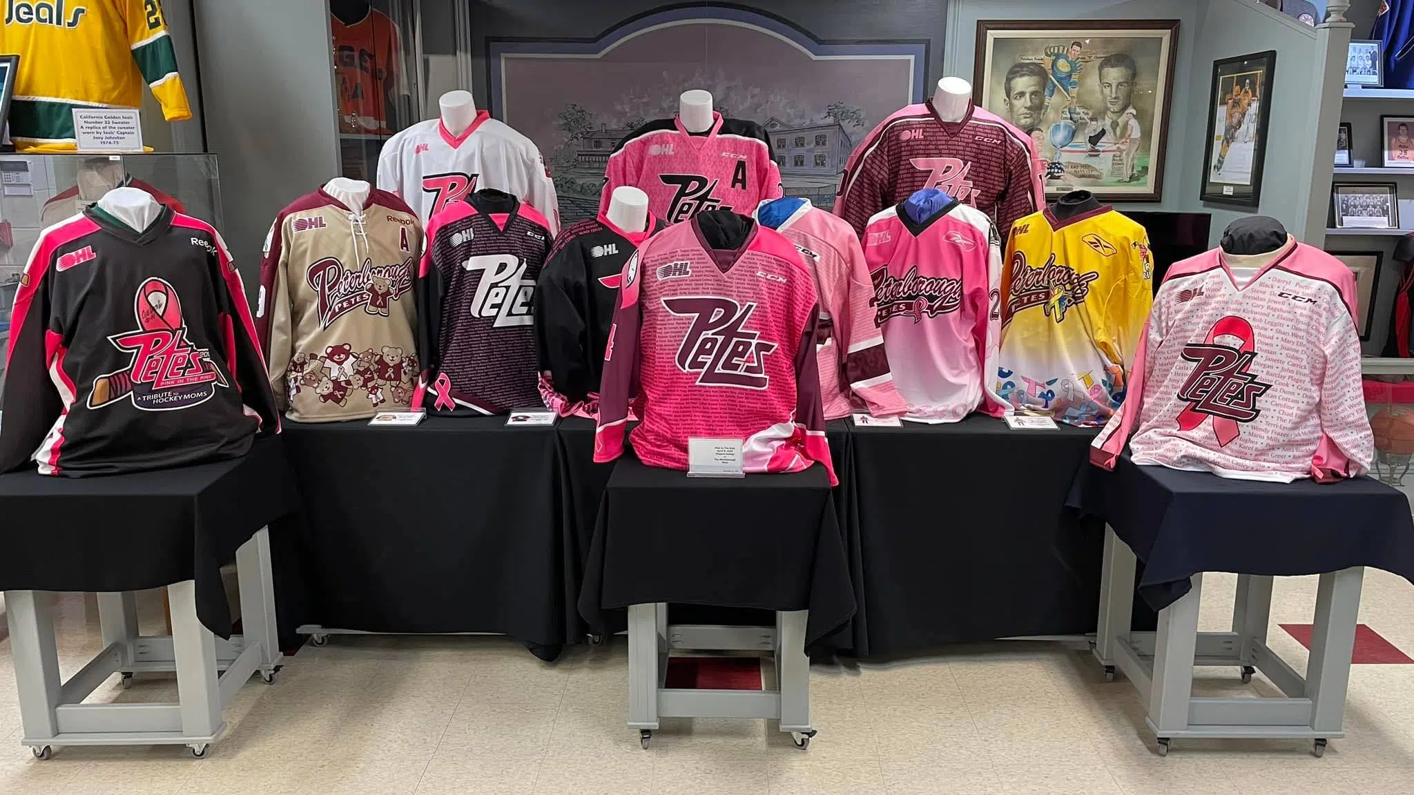 Petes take pride in doing Pink in the Rink right PTBO Today