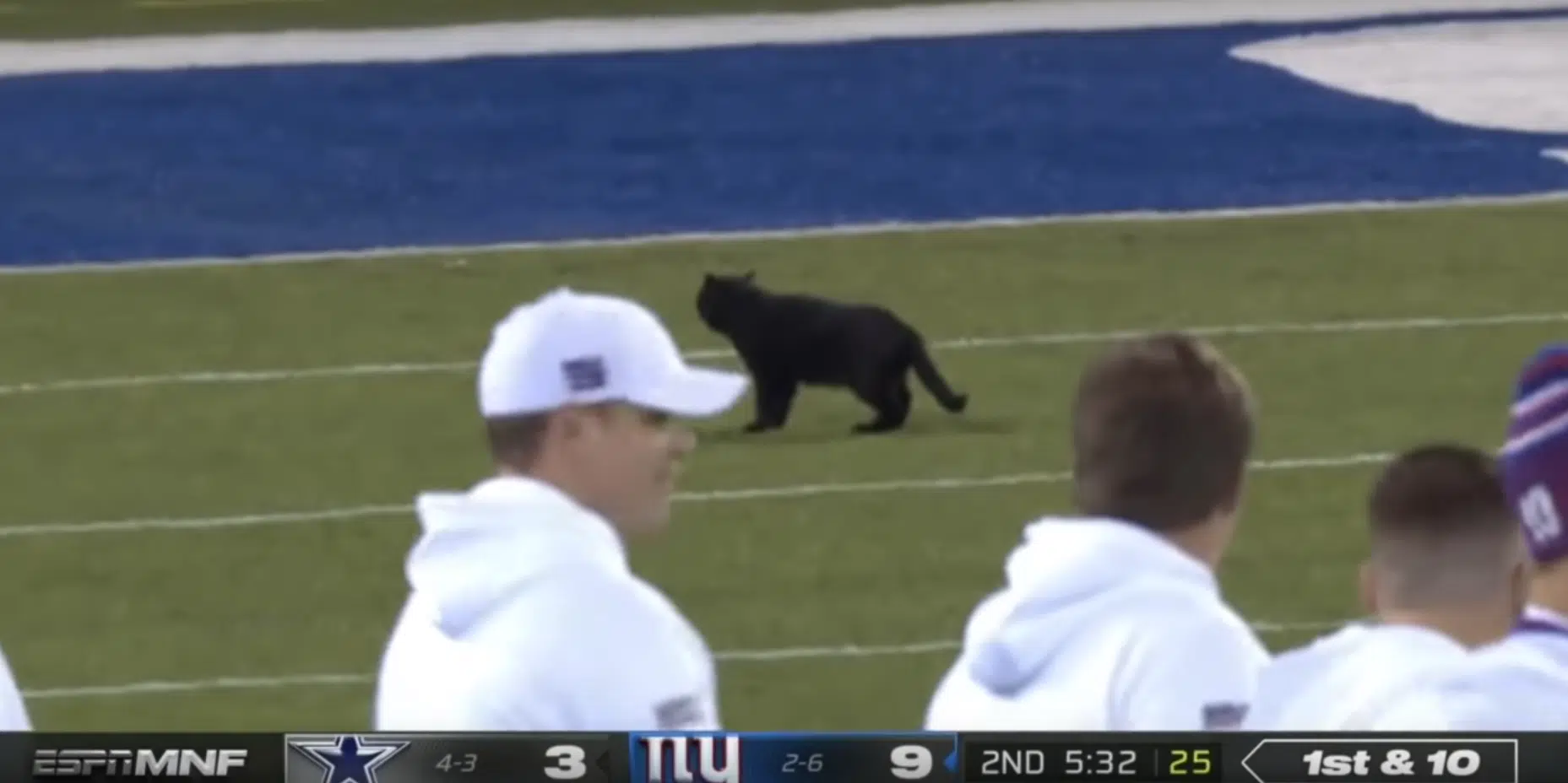 Black Cat Runs Onto Field at Cowboys/Giants Game 102.9 The Buzz(02)