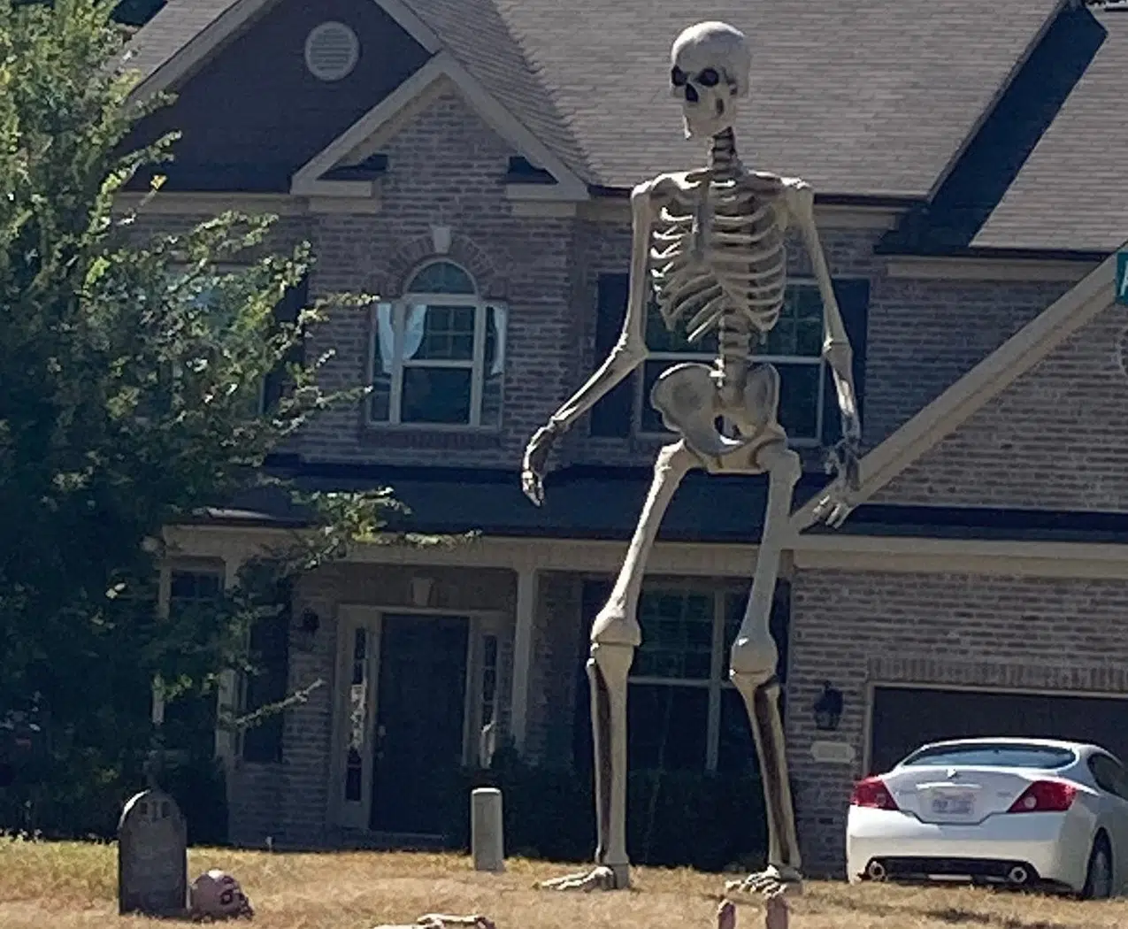 Look At This Giant 12 Foot Skeleton Halloween Decoration 102 9 The Buzz