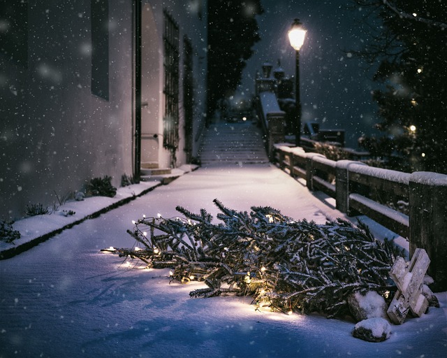 Love "Home Alone" but need it to be more metal? - Vimarsana News
