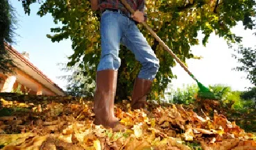 Simcoe County Bi-weekly Leaf and Yard Waste Collection starts October 3