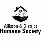 Found Dogs in Bradford Will Head to Alliston Shelter