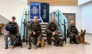 Coming Together With Police Service Dogs FM92 South Simcoe Today   Ssp And Barrie Police Dogs 