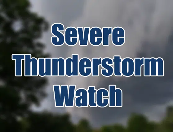 Severe Thunderstorm Watch In Effect | Lanarkleedstoday.ca