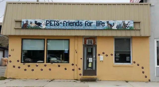Pets/Friends for Life seeking community support as roof becomes unsafe for  both animals and volunteers  